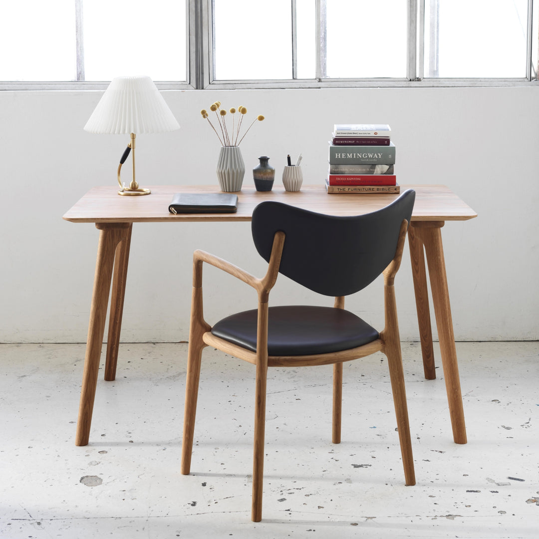 Salon Chair